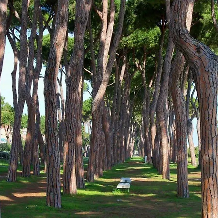 Casa Felice 3 - Pineto