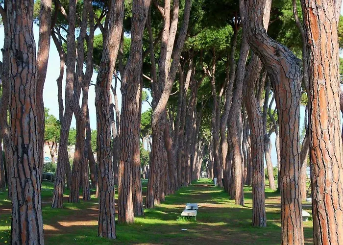 Casa Felice 3 - פינטו